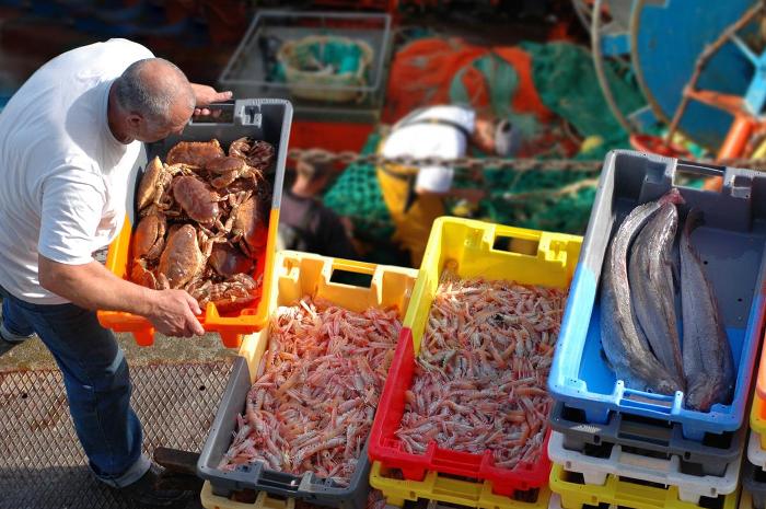 Man working at seafood market